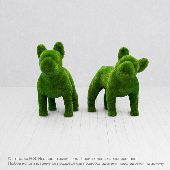 Французский бульдог